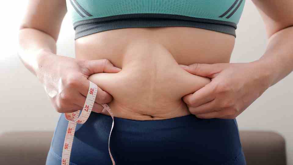 Fat stomach seeking weight loss support